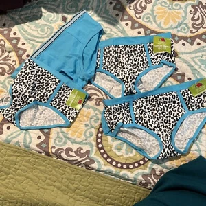 Fruit of the Loom Kids 5 Pack Cotton Stretch Hipsters Panties L - Picture 1 of 4
