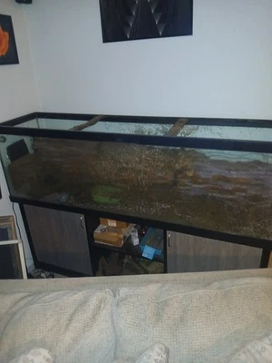 Аквариум для рыбок. 125 галлонов. - Изображение 1 из 4