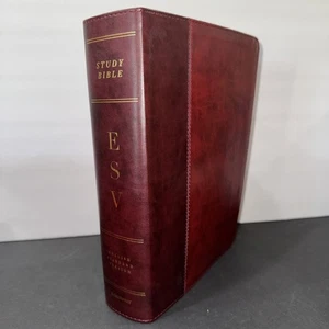 Boxed Unused ESV Study Bible TruTone Burgundy Red Timeless Imitation Leather - Picture 1 of 10