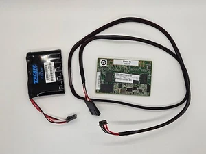 IBM 47C8665 00AE858 ServeRAID M5200 2GB RAID 5 Flash Upgrade w/battery and cable - Afbeelding 1 van 2