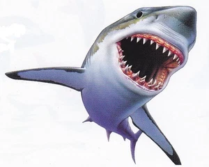 SUPERBE TEE SHIRT REQUIN SHARK SQUALE   S . M . L . XL . XXL . XXXL + ENFA - Picture 1 of 1