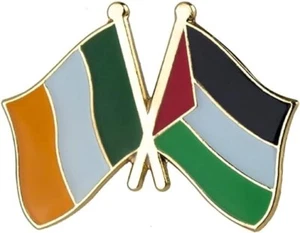 Solapa de insignia de bandera nacional esmaltada de amistad de Irlanda y Palestina - Imagen 1 de 1