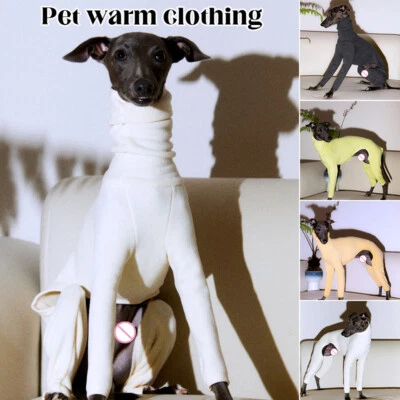 Turtleneck Big Dog Italian Greyhound Clothes Winter Dogs Rib 4 leg Pet Sweater - Image 1 of 4