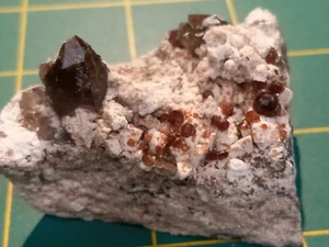 Spessartine Garnets w/ Smoky Quartz & Mica on Microcline Matrix. - China - Picture 1 of 9