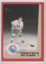 1988-89 ProCards AHL/IHL Gary Callaghan