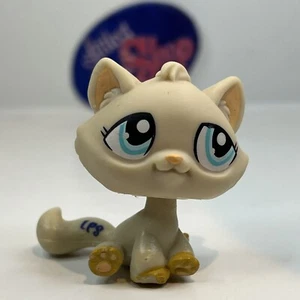 KITTEN CAT #1364 - Authentic Littlest Pet Shop - Hasbro LPS - Picture 1 of 4