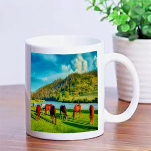 Custom Personalized Printed Wild Horses Lover Ceramic Mug Coffee Cup Family gift - Picture 1 of 9