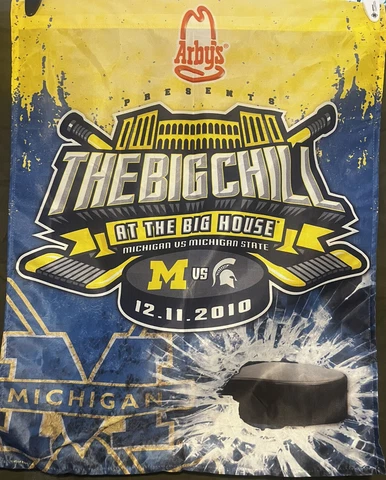 Big Chill in the Big House University of Michigan Michigan State Banner Cover