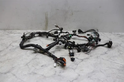 Arnés de cables del motor principal Kawasaki Ninja ZX636 2005-2006 telar eléctrico Foto 1 de 4