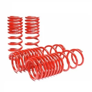 Resortes descensores Skunk2 para '90-'97 Accord - 519-05-1630 - Imagen 1 de 1