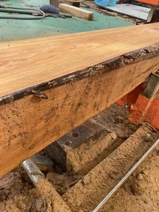 LIVE EDGE CUT HARDWOOD SLAB ROUND SLICE OAK BLACK CHERRY WALNUT SLAB RIVER TABLE - Picture 1 of 23