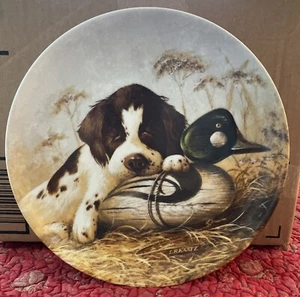 Knowles UKC Field Puppies Collector Plate 1987-"Dog Tired-The Springer Spaniel" - Picture 1 of 3
