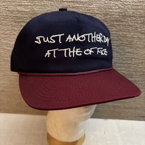 Fly Geenius Just Another Day At The Office Baseball Hat Urban Outfitters NEW - Picture 1 of 10