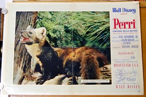 soggettone film PERRI Walt Disney documentario scoiattolo squirrel 1958 b - Picture 1 of 1