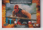 Dustin Rhodes 2021 Upper Deck AEW Wrestling Wednesday in Action Card # WIA-13