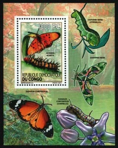 Congo-Kinshasa 2012 - Mi-Nr. Bloque 516 A ** - MNH - Mariposas / Mariposas - Imagen 1 de 1
