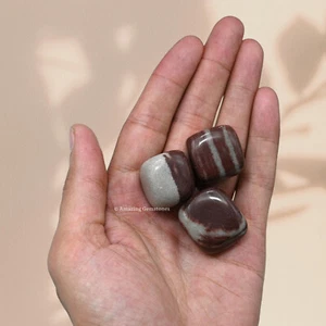 Piedras caídas de cristal Narmada Shiva lingam rocas pulidas - cristales hágalo usted mismo (1 oz) - Imagen 1 de 8
