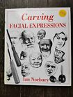 Carving Facial Expressions Paperback by Lan Norbury
