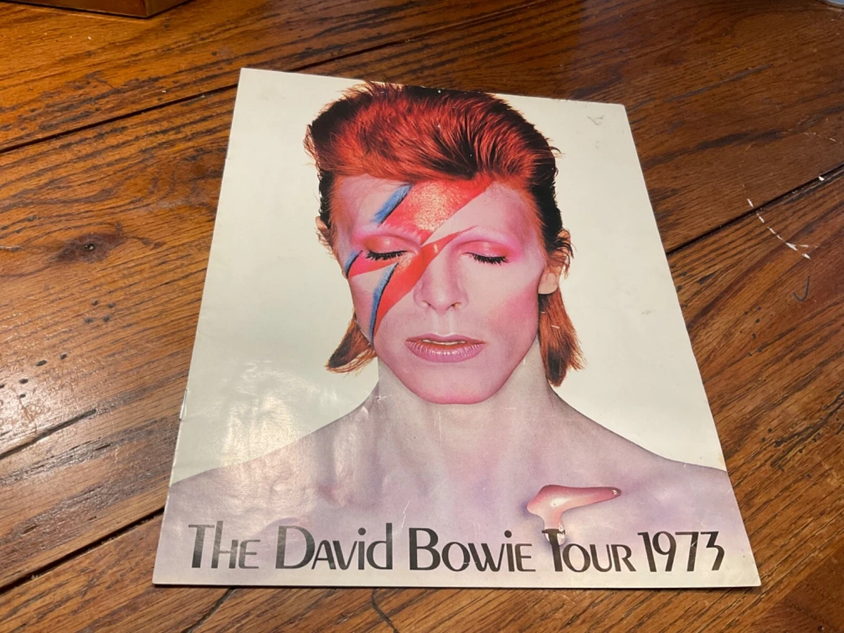 David Bowie Concert Memorabilia for sale | eBay