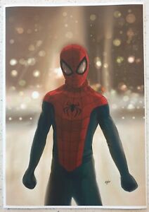 Spider-man original art A4 canvas print