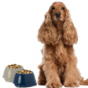 More details for 2x spaniel bowls set dog dishes puppy non slip pet food water 0.6l dogcentre®