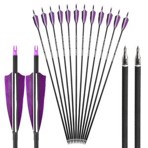 30" Carbon Arrows SP500 Natural Feather Screw-In Points Archery Bow Hunt Shoot - Picture 1 of 16
