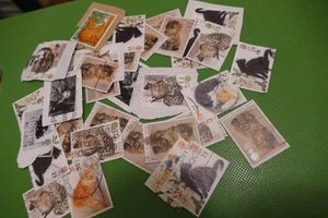 34 cats animals pets thematic British UK commemorative postage stamps postal GB - Picture 1 of 1