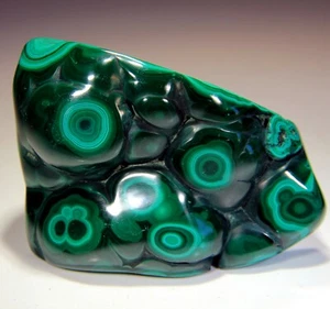 3.75" Superb Polished Bull's Eye Malachite, Congo! MA122 - Picture 1 of 5