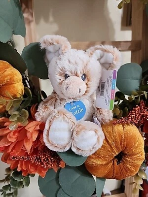 Aurora Ebba Bebé Lechón Cerdo Lovey Peluche Sonajero Abrazo Juguete Rosa Melocotón Mini Peluche Foto 1 de 4