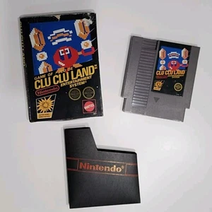 Juego Clu Clu Land Raro CAJA NEGRA Nintendo NES 1985 Edición Temprana Coleccionable - Imagen 1 de 19