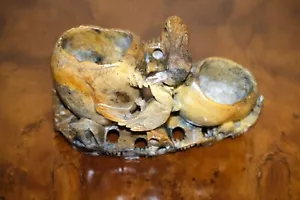 ENCANTADORA FIGURA DE PIEDRA DE JABÓN TALLADA A MANO DE PRINCIPIOS DEL SIGLO 20 CON DOS MACETAS - Imagen 1 de 10