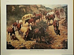 DOWN FROM HIGH COUNTRY, DE BARBARA PEETS, CABALLOS SALVAJES - Imagen 1 de 2