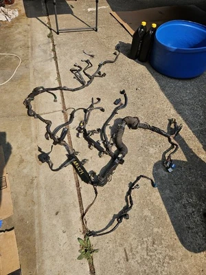 1997-99 Toyota Tacoma 3.4l V6 Wiring Harness 82121-3D520 Automatic Used Oem  - Image 1 of 4