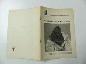 DDR 1953 Heft Wir züchten Schmetterlinge aus dem Ei Der Kinderbuchverlag Berlin - Bild 1 von 4