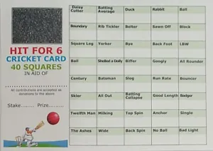 CRICKET THEMED FUNDRAISING SCRATCH CARDS A6 FULL COLOUR CHARITY IDEAS RAFFLE - Picture 1 of 1