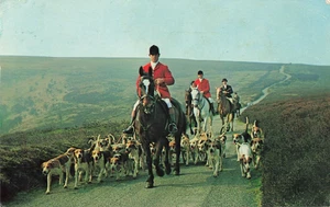 Postcard Early Morning Fox Hunt Somerset Exmore Devon England. Circa 1965 - Picture 1 of 2