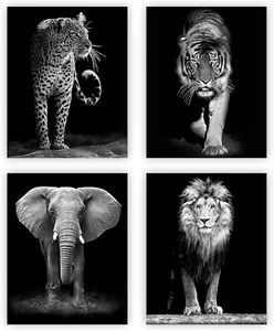 4 Set-Black and White African Wild Animal Photo Wall Art,Tiger,Lion,Elephant, Le - Picture 1 of 12