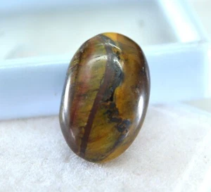 13.25 Ct Natural Certified Rare Tiger eye Top Grade GIFT Loose Gemstone TG30 - Picture 1 of 5