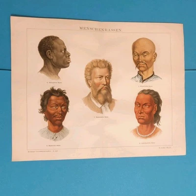 2 x Orig.(1885) Chromolithographie Menschenrassen + Karte  - Bild 1 von 4
