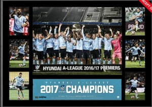 SYDNEY FC 2017 A-LEAGUE CHAMPIONS OFFICIAL DELUXE PRINT VUKOVIC ARNOLD - Picture 1 of 1