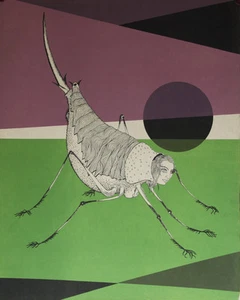 Félix LABISSE - Estampe - Lithographie - La caline - Picture 1 of 1