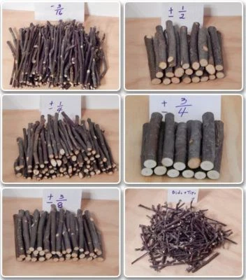 Apple Pear Wood Chew Sticks Twigs Coin for Pet Chinchilla Hamster Rabbit Rat - Image 1 of 4