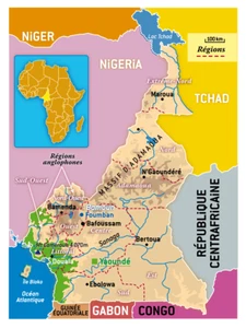 Cameroon Africa Colorful French Political Physical Map Inset Poster Art Print - Picture 1 of 1