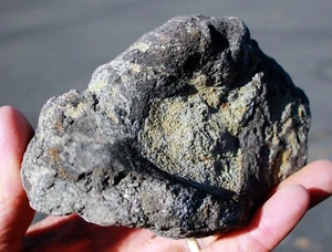 Hueso de hombro de dinosaurio • 1 lb. 12 oz. • Albany Co. Wyoming - Imagen 1 de 11