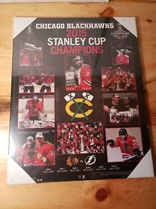 ~~NEU~ CHICAGO BLACKHAWKS 2015 STANLEY CUP CHAMPS HOLZSCHILD 20" X 16" - Bild 1 von 11