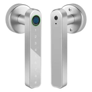 Smart Fingerprint Door Lock, Biometric Door Lock with Handle Keyless Entry Door - Picture 1 of 8