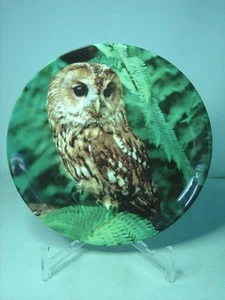 Reloj Wedgwood THE NIGHT CALLER Plato Búho Guardianes de la Noche Michael Leach - Imagen 1 de 3