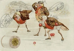 J.&P. Mäntel viktorianische Handelskarten gut gekleidete Vögel & Faden Doren Sammlung - Bild 1 von 3