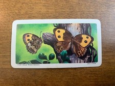 BROOKE BOND RED ROSE TEA CARDS - SERIES 8 - BUTTERFLIES OF NORTH AMERICA