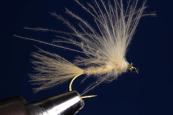 Fliegentom 3 Stück cremefarbener Flymph Emerger - Bild 1 von 1